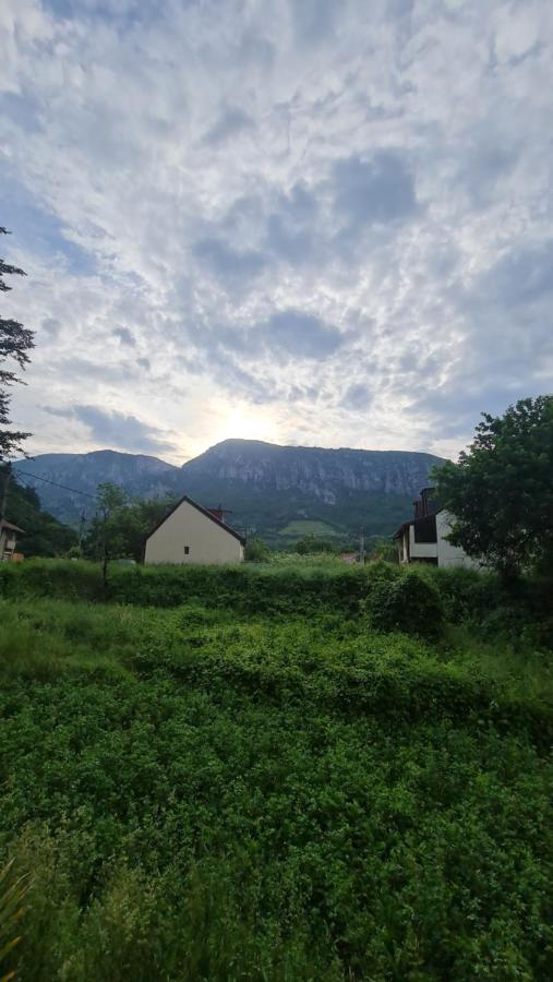 فندق Casa Anne Băile Herculane المظهر الخارجي الصورة